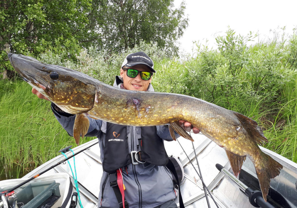 Pêche du brochet en Suède. Laponie Suédoise