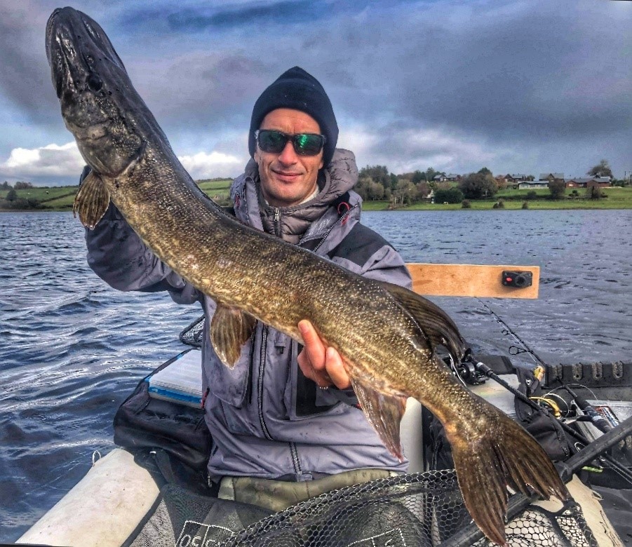 brochet