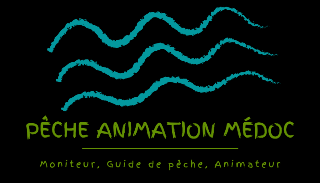 animation pêche medoc