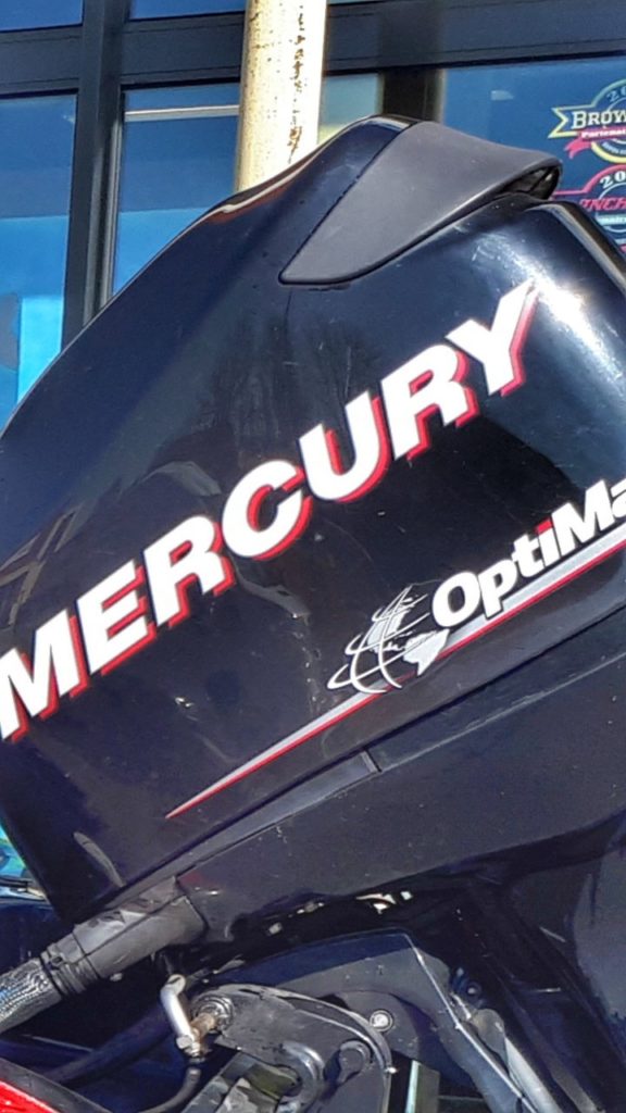 Mercury Optimax 115cv