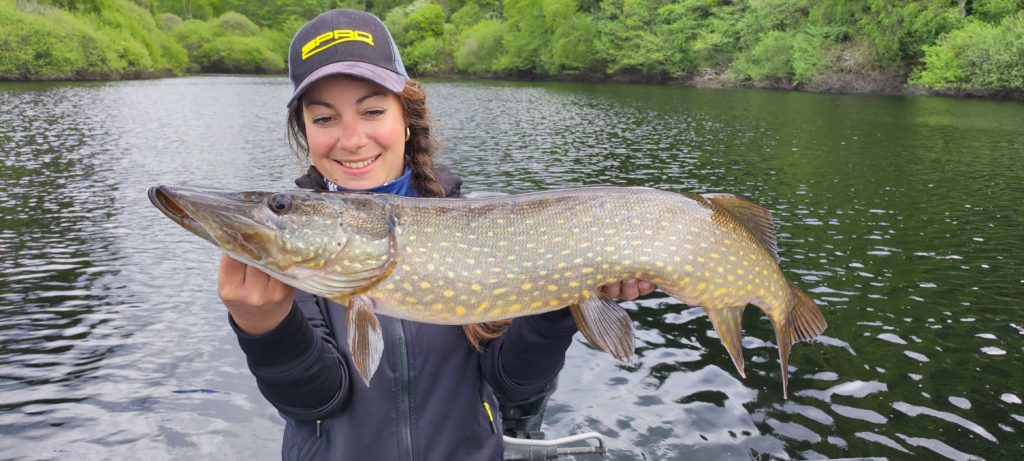 Photos de brochets et sandre pris en sharpshooting grâce au livescope