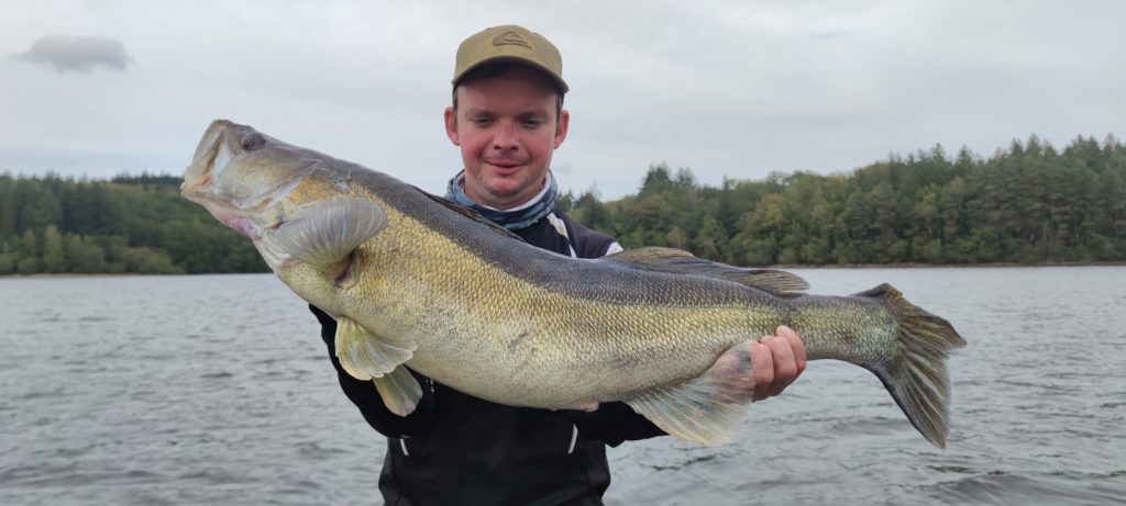 Gros sandre de Vassivière