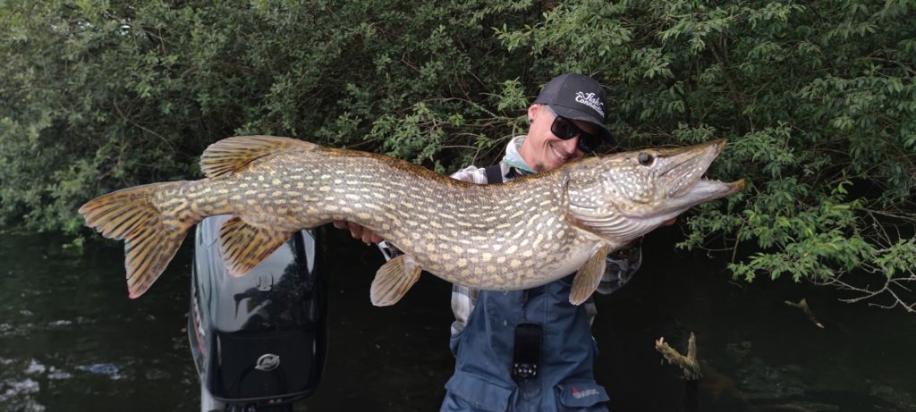 Gros brochet du lac de Vassivière