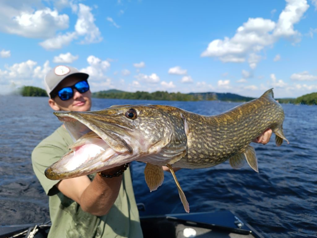 Pêche des gros brochet au livescope sur le lac de Vassivière