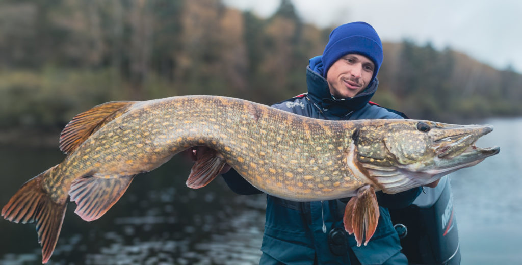 Pêche des gros brochets, séjour pêche au live à Vassivière