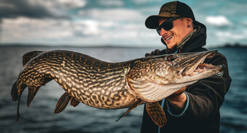 photo gros brochet irlande