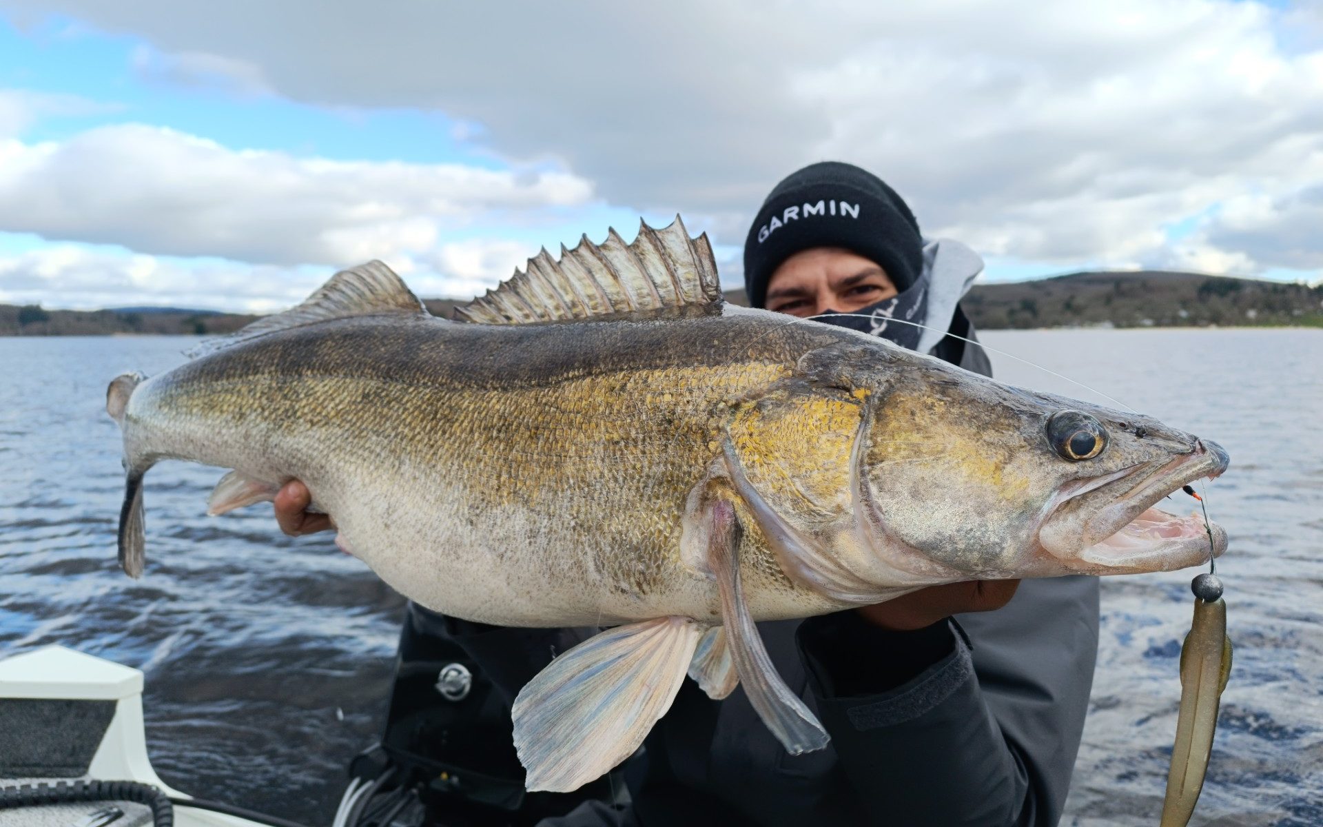 Gros sandre de Vassivière
